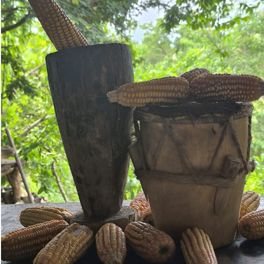 Derecho a la Alimentación  y soberanía alimentaria