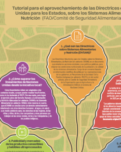 Tutorial para el aprovechamiento de las Directrices de Naciones Unidas sobre Sistemas Alimentarios y Nutrición (DVSAN)